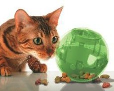 cat ball food dispenser