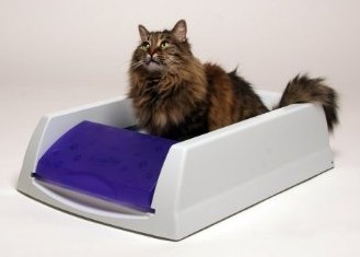 Cat using automatic litter box