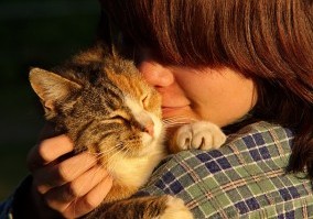 Cat and its loving owner
