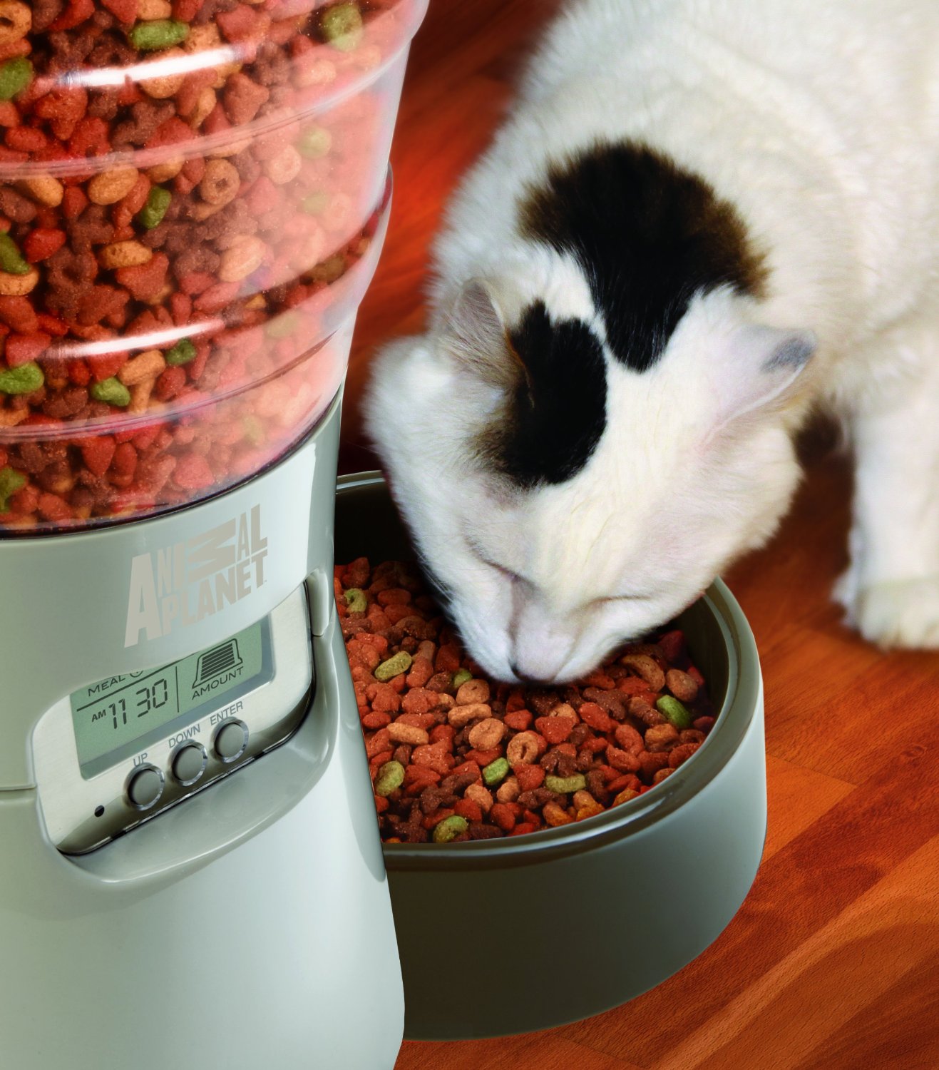 Cat eating from Animal Planet Feeder - Cat food dispensers ...