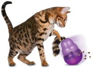 Cat and Kong Wobbler