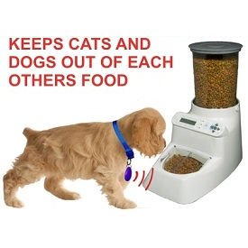 dog feeder with collar sensor