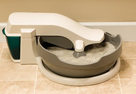 Petsafe simply clean sale cat litter box