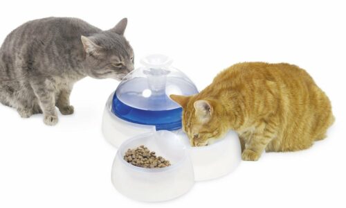 Catit Water Fountain