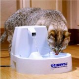 Cat and Drinkwell Original