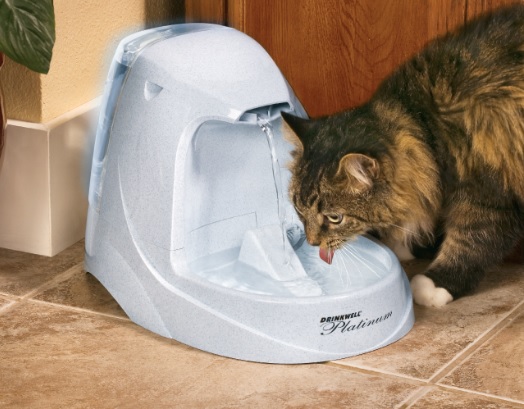 Cat drinking from PetSafe Drinkwell Platinum