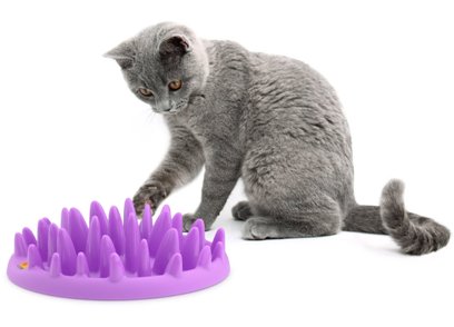 Northmate Interactive Slow Pet Feeder for Cats