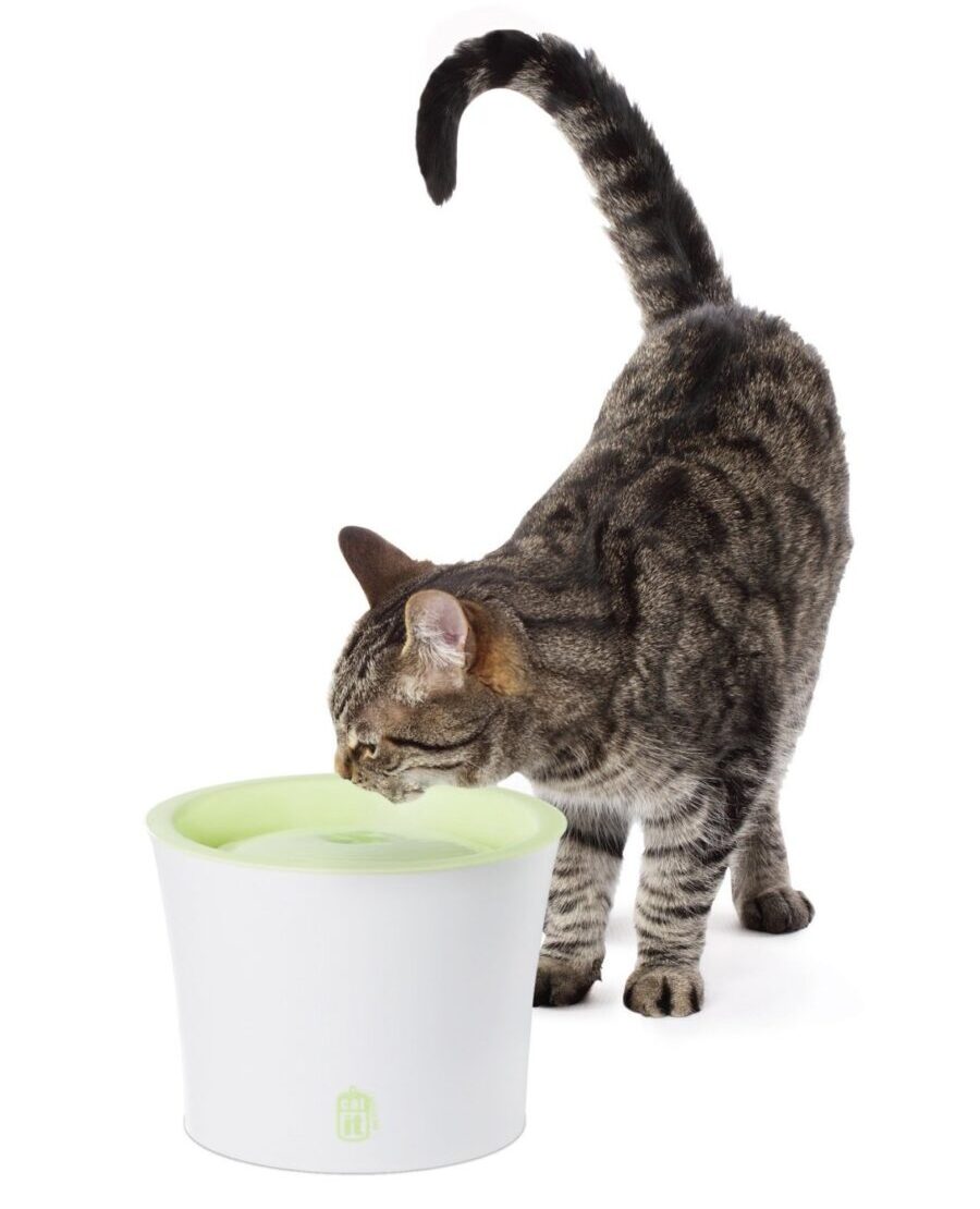 Hagen Catit Design Drinking Fountain