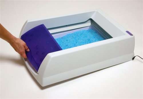 Removable waste trap cover