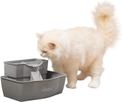 Cat drinking from Drinkwell Multi-Tier pet fountain