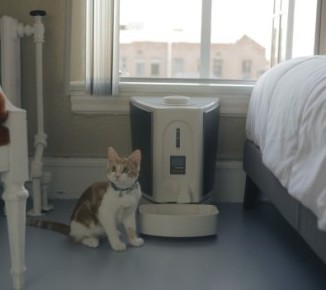 Cat and Pet Feedster