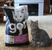 photo of a cat next to a bag of Petcurean cat food
