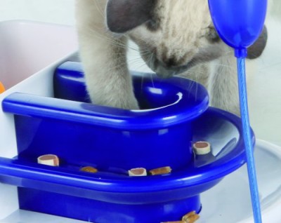 Cat getting its treats from Go Fish Fountain Game