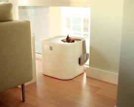 Modkat gives cats privacy