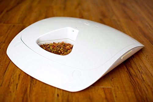 Feed and Go automatic pet feeder