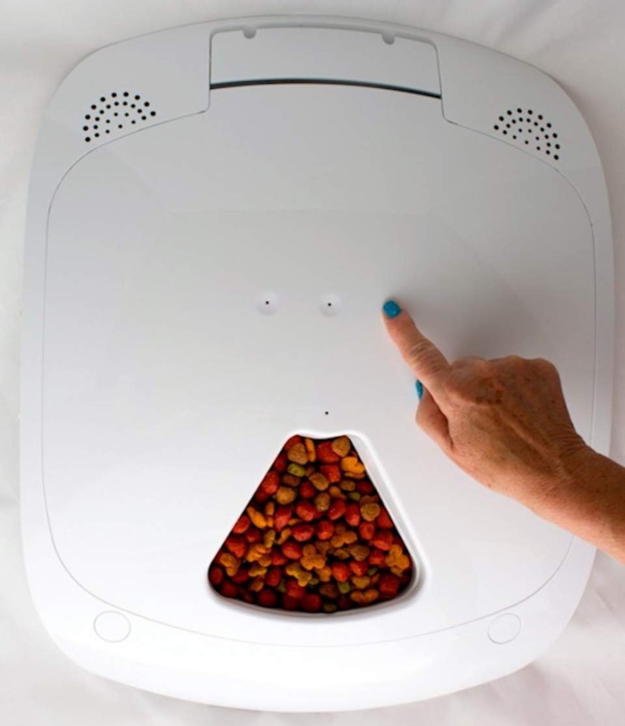 feed and go automatic feeder