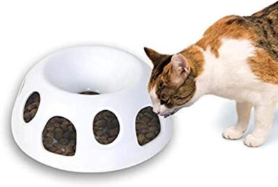 Tiger Diner Ceramic Cat Feeder Full Review Tiger Diner Ceramic Cat Feeder Full Review