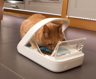 SureFeed Microchip Pet Feeder Review - Does It Really Work?