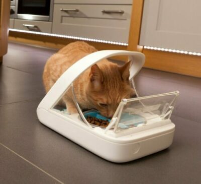 Cat eating from SureFreed Microchip pet feeder