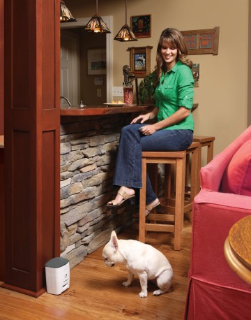 PetSafe Train 'N Praise blends with any decor