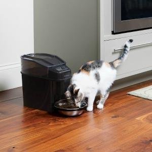 Cat eating from Petsafe Healthy Pet Simply Feed