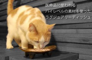 Cat eating from Wetnoz Ultra Fat Cat Dish