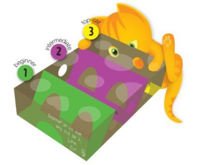 Cat Amazing Box with 3 levels of difficulty