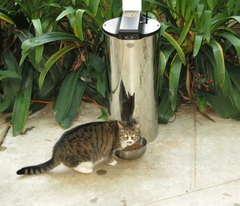 Cat using Petpal automatic pet feeder