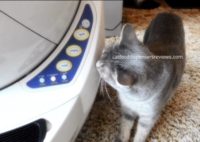My kitty and the Litter Robot Open Air