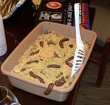 How a Dirty Litter Box Can Contaminate Your Home - Protect Your Health