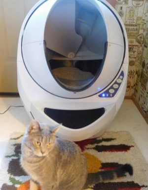 Sophie and the Litter Robot Open Air