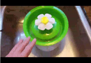 catit flower fountain pump cleaning