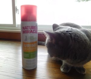 cat next to urine destroyer spray