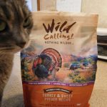 Wild Calling Turkey Dry Cat Food Review