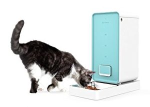 Automatic cat feeder reviews sale