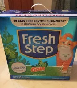 Best Cat Litter For Kittens 2020