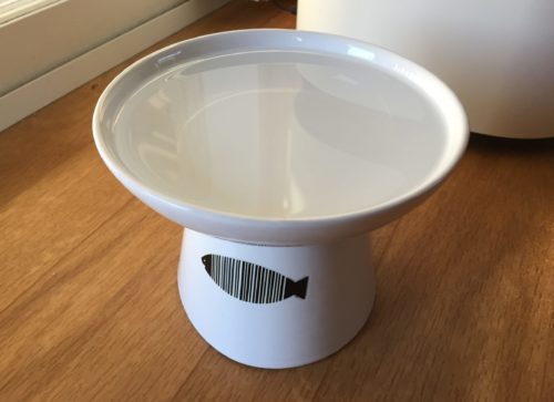 elevated cat water bowl