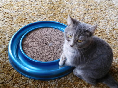 Cat and scratching toy