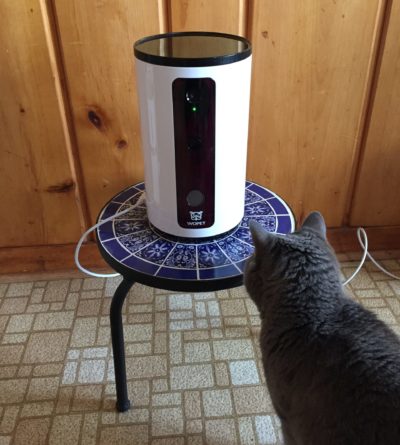 https://www.catfooddispensersreviews.com/wp-content/uploads/2021/11/Wopet-Smart-Pet-Camera-and-Sophie-scaled-e1636057959715.jpg