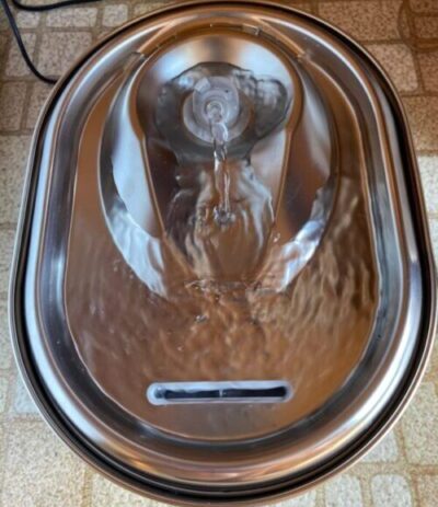 Petlibro stainless steel cat water fountain running