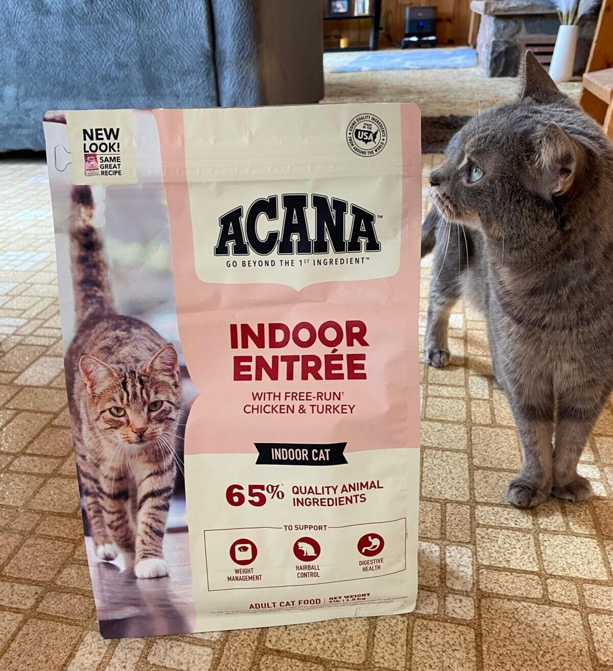 Acana Indoor Entrée bag with Sophie