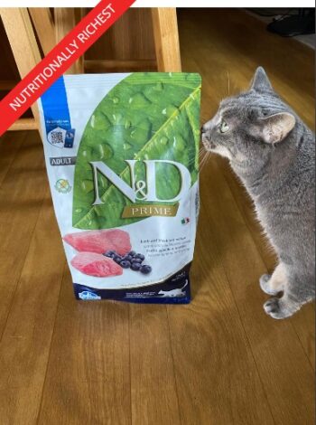 Cat next to a package of Farmina dry food