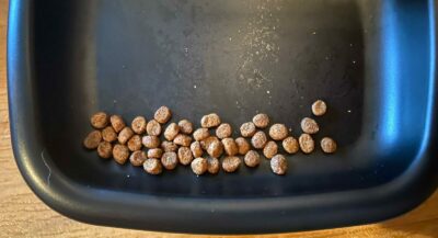 one portion of kibble on feeding tray