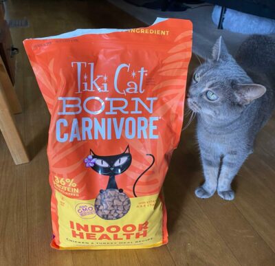 Photo of Tiki Cat Born Carnivore cat food