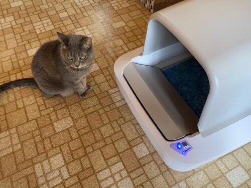 photo of a cat next to Scoopfree Crystal PRO