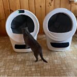 Cat choosing Litter Robot 5 over Litter Robot 4