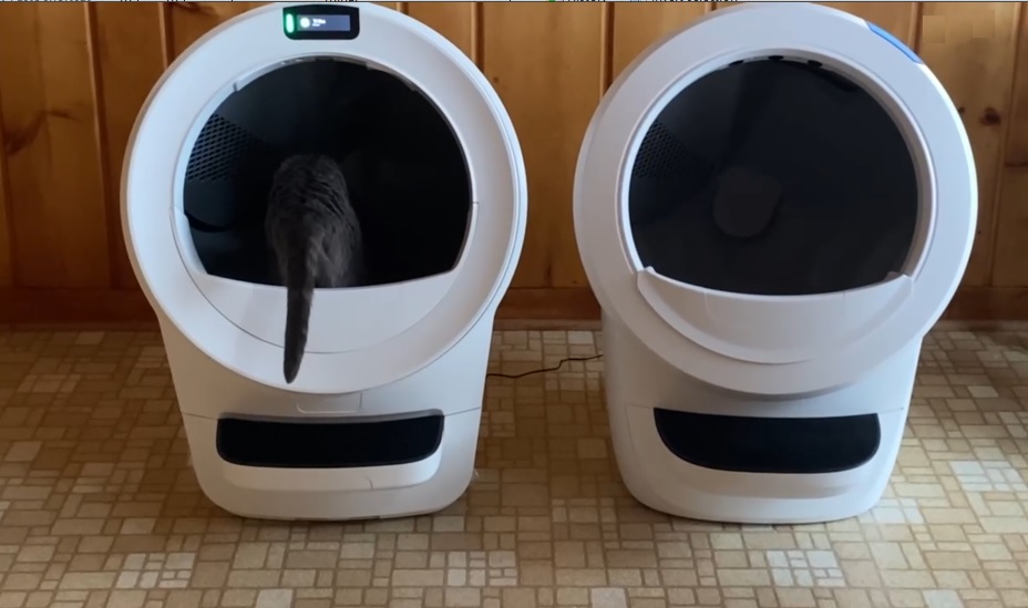 Cat inside Litter Robot 5 with Litter Robot 4 next to it